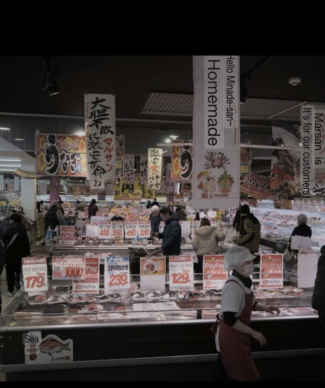 Japan Grapples with a Deepening Rice Crisis as Prices Nearly Double