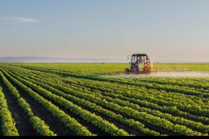 No Relief for Agriculture and Business Community in Federal Budget