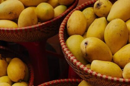 Study Overview: Mangoes and Cardiovascular Benefits
