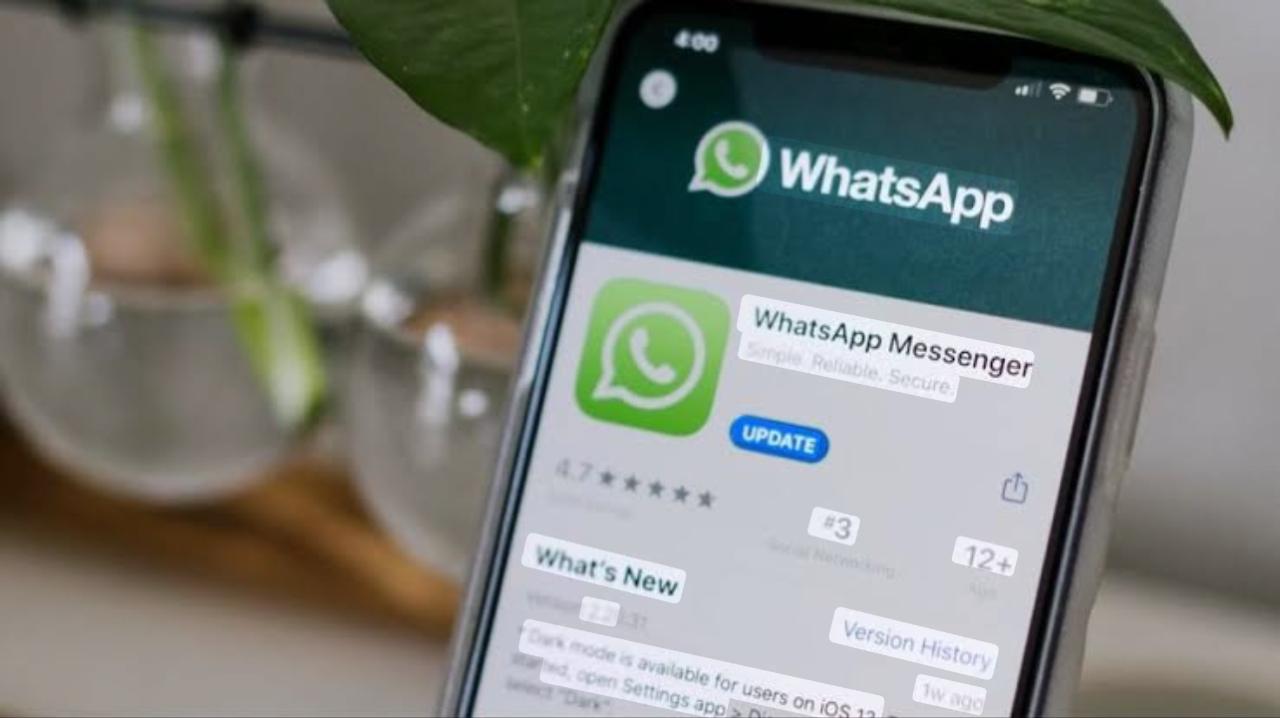How to Make Money from WhatsApp: New Features for Creators
