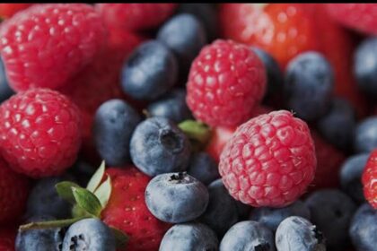 Can Eating Just One Type of Fruit Help Prevent Dementia? Discover the Brain-Boosting Power of Blueberries